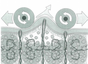 endermologie-therapie-den-bosch